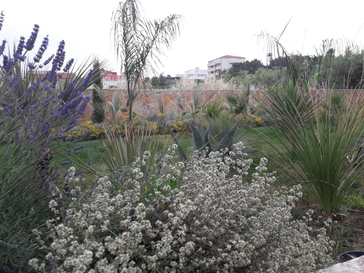 Palm Paradise Stobreč Εξωτερικό φωτογραφία