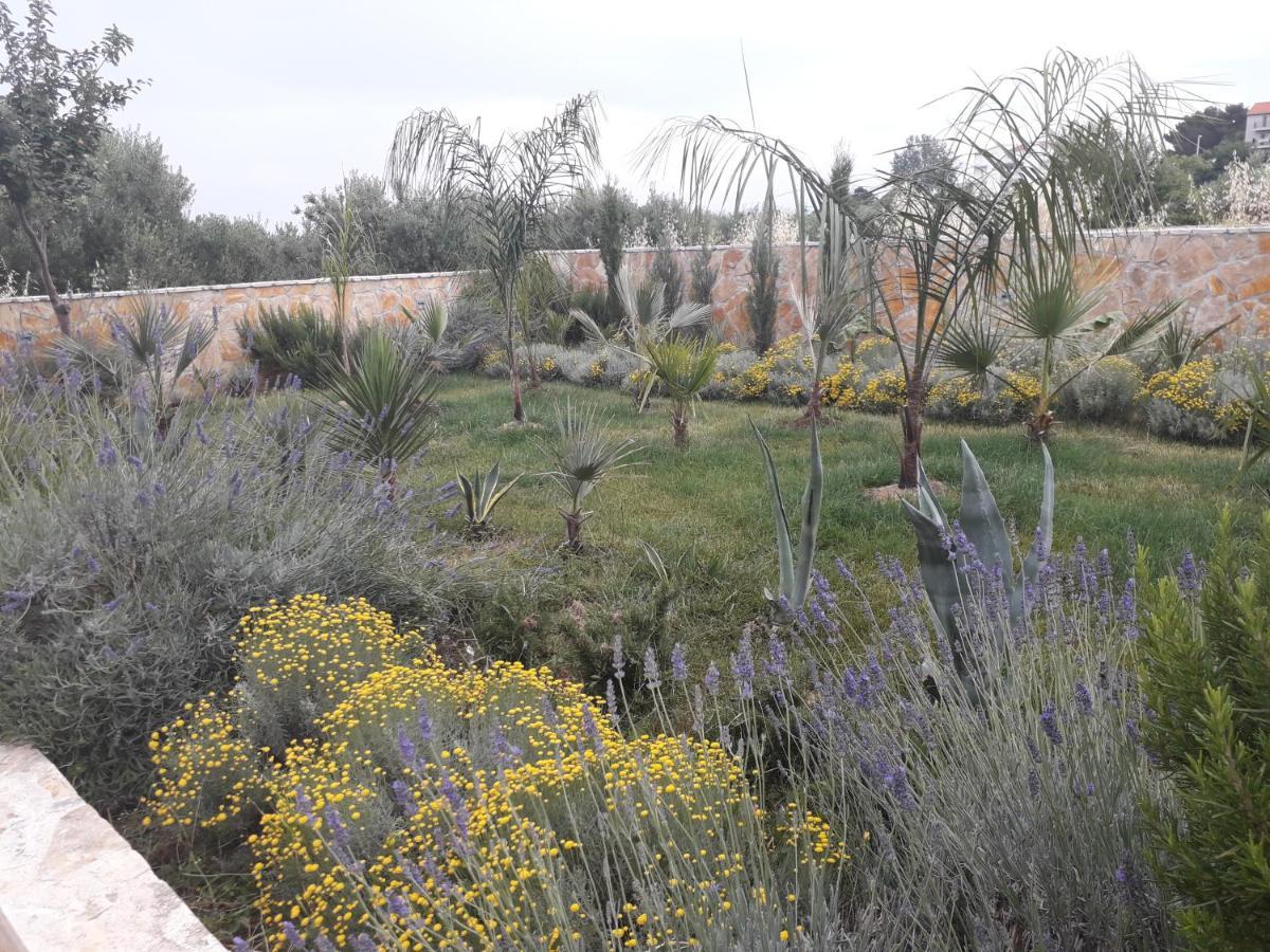 Palm Paradise Stobreč Εξωτερικό φωτογραφία