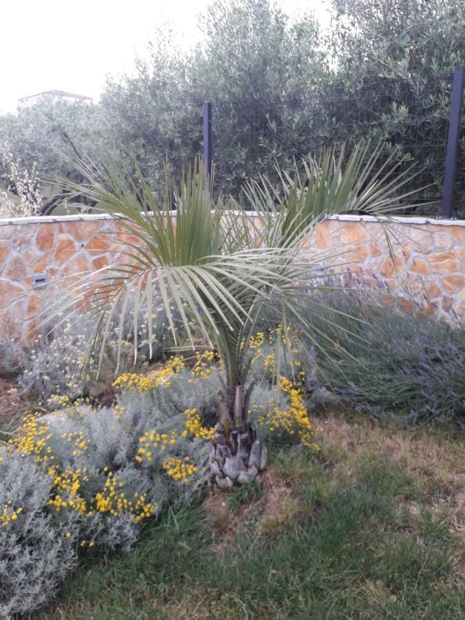 Palm Paradise Stobreč Εξωτερικό φωτογραφία