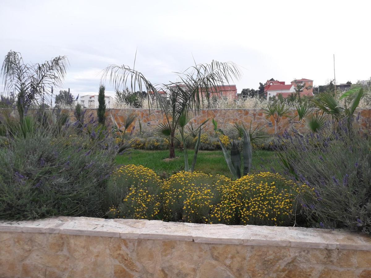 Palm Paradise Stobreč Εξωτερικό φωτογραφία